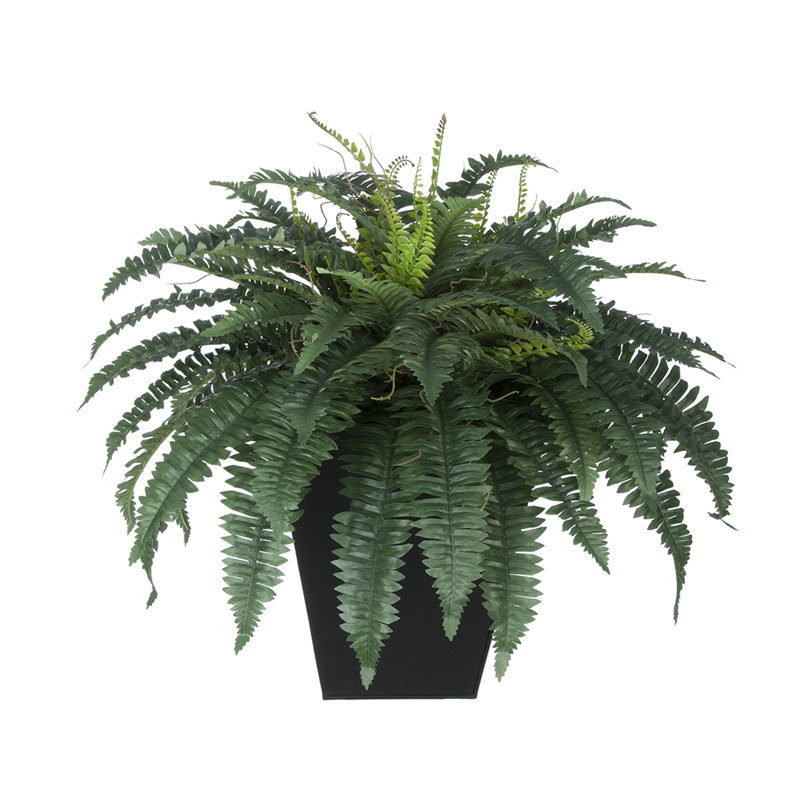 House of Silk Flowers Artificial Fern Floor Plant in Planter Wayfair